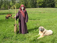Shepherds Rest Anatolians