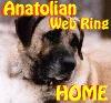 Image of Anatolian Shepherd WebRing Home