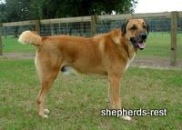 Visiting ASD connections on the East Coast, USA