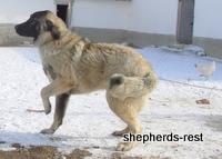 Import trip for Kara