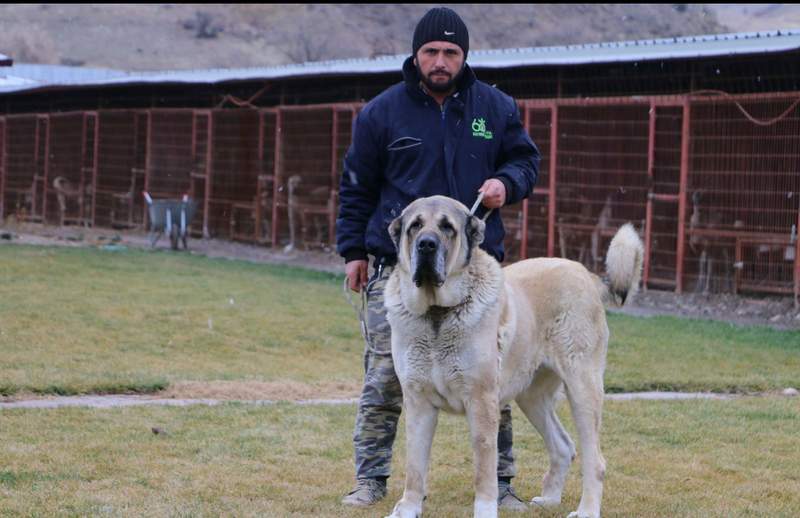 Çıftçının Keskın0