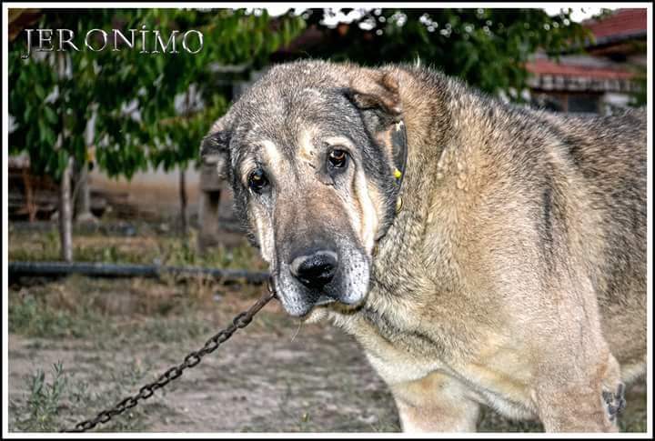 Çıftçının Keskın