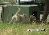 Bringing South Africa, Turkey, and Oregon together, July 2007