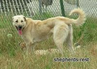 Bringing South Africa, Turkey, and Oregon together