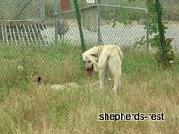 Bringing South Africa, Turkey, and Oregon together, July 2007