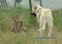 Bringing South Africa, Turkey, and Oregon together, July 2007