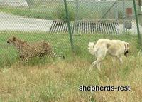 Bringing South Africa, Turkey, and Oregon together, July 2007