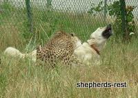 Bringing South Africa, Turkey, and Oregon together, July 2007