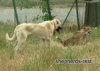 Bringing South Africa, Turkey, and Oregon together, July 2007