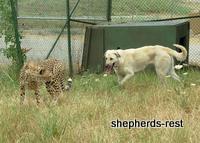 Bringing South Africa, Turkey, and Oregon together