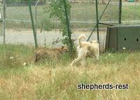 Bringing South Africa, Turkey, and Oregon together, July 2007