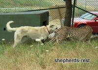 Bringing South Africa, Turkey, and Oregon together, July 2007