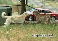 Bringing South Africa, Turkey, and Oregon together, July 2007