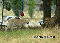 Bringing South Africa, Turkey, and Oregon together, July 2007
