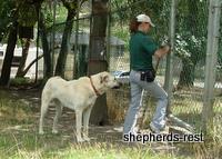 Bringing South Africa, Turkey, and Oregon together, July 2007