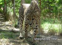 Bringing South Africa, Turkey, and Oregon together, July 2007