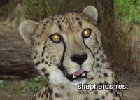 Bringing South Africa, Turkey, and Oregon together, July 2007