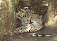 Bringing South Africa, Turkey, and Oregon together, July 2007