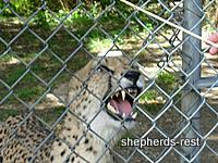 Bringing South Africa, Turkey, and Oregon together, July 2007