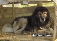 Import trip for Ormanüstü Duman