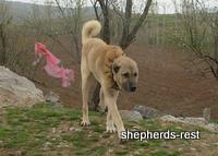 Import trip for Dürbün & Cazip