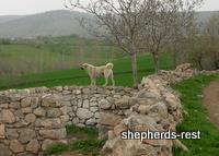 Import trip for Dürbün & Cazip