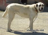 Import Trip for Sibel Can