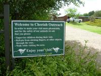 Cheetah Outreach